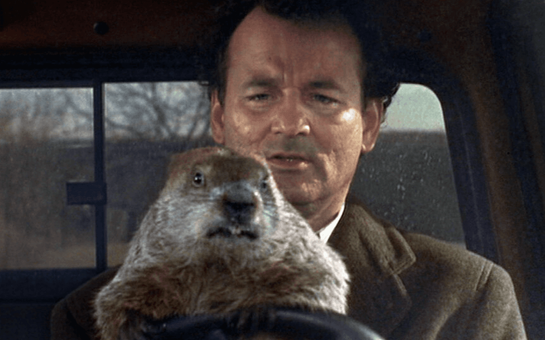 Bill Murray and a groundhog in the movie Groundhog Day